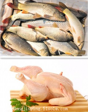 九盈多功能带骨盐水注射机