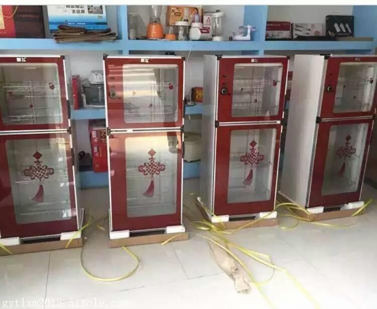 会销爆款新飞消毒柜批发/远红外电热烘干臭氧消毒定时