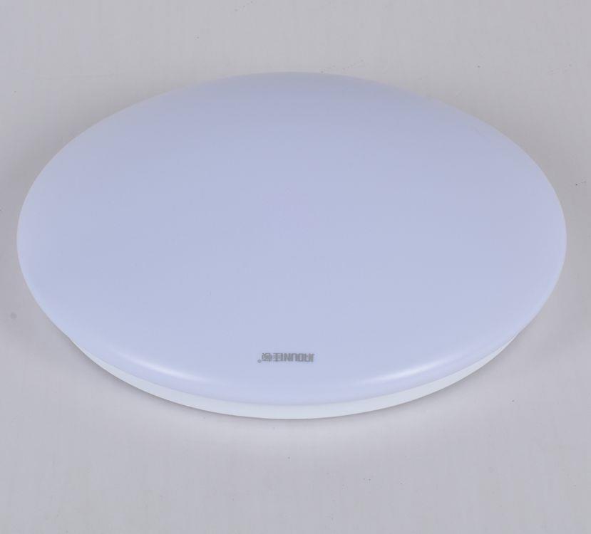 吸顶灯品牌led10w吸顶灯 阳台灯 纯白走道灯