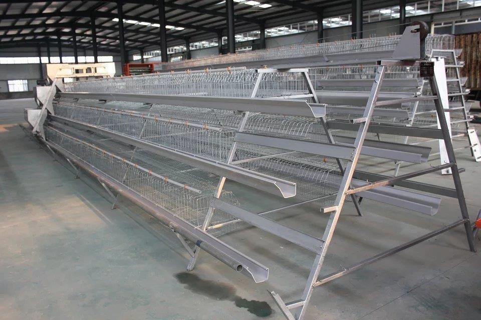河南阶梯式蛋鸡笼,蛋鸡笼价格 优质蛋鸡笼 河南银星鸡笼厂